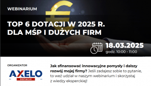 Read more about the article TOP 6 DOTACJI W 2025 R. DLA MŚP I dużych firm