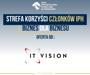 Read more about the article Oferta IT VISION